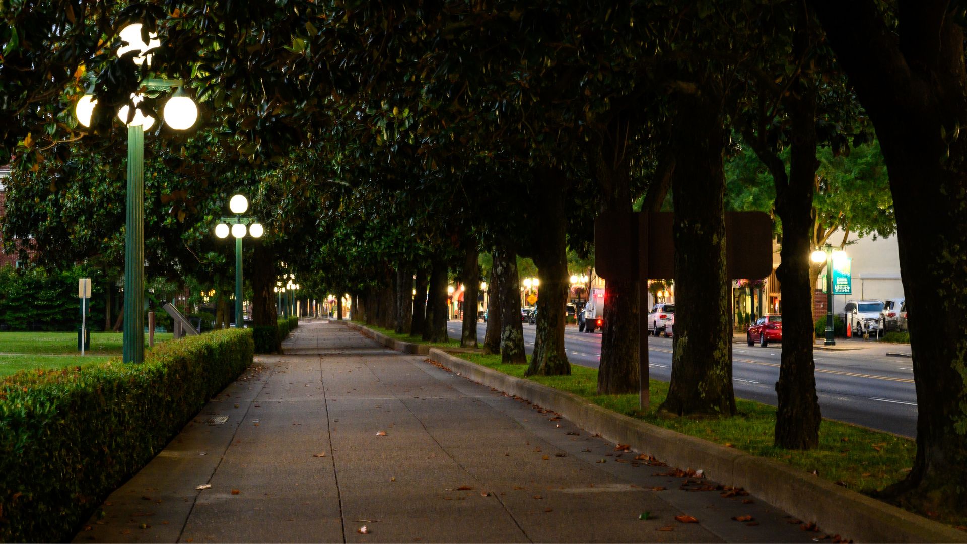 A sidewalk lined with trees and street lights